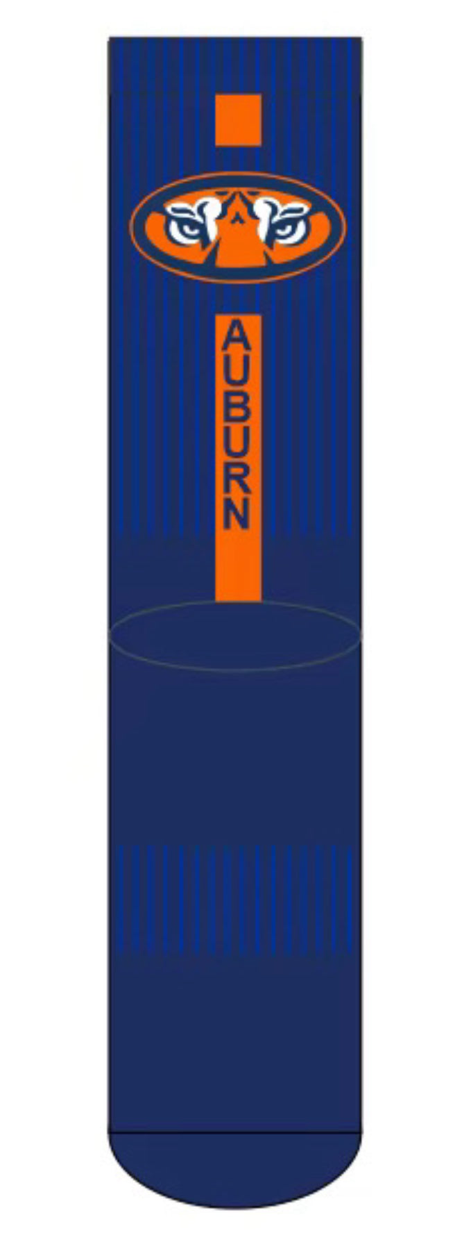 Auburn University