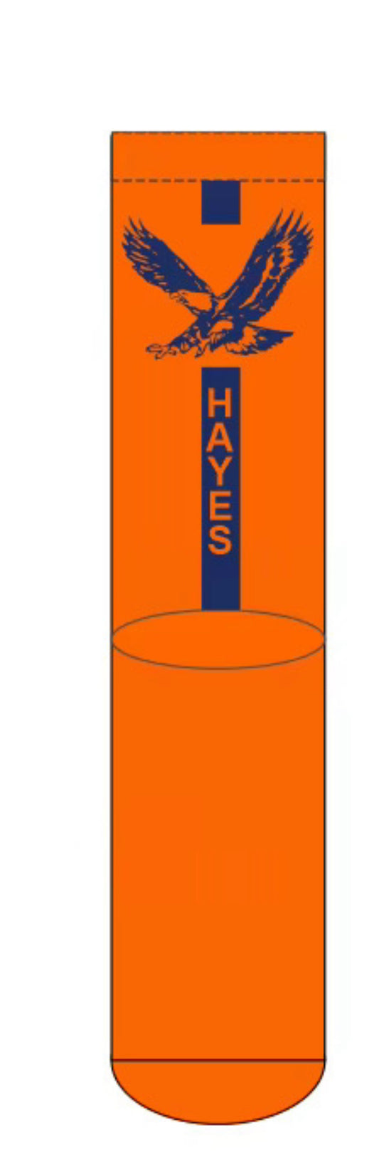 Hayes High School